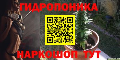 каннабис Новокубанск