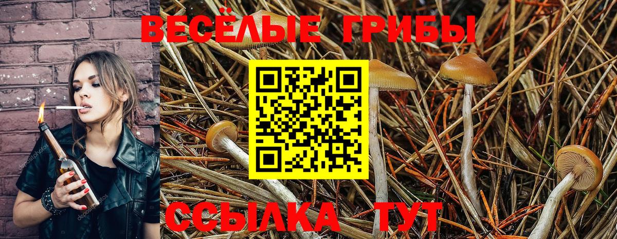 Псилоцибиновые грибы Psilocybine cubensis Первоуральск